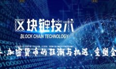 2017年：加密货币的狂潮与