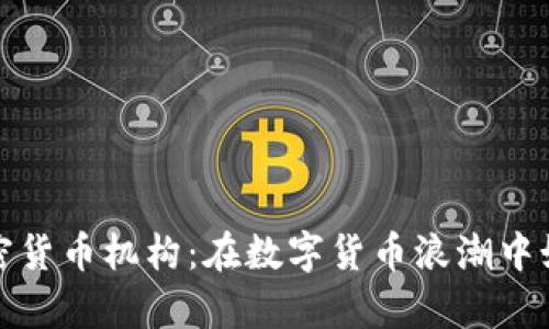 揭秘韩国加密货币机构：在数字货币浪潮中如何乘风破浪