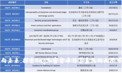 迈向未来：探索Bag加密货币结算系统的无限可能