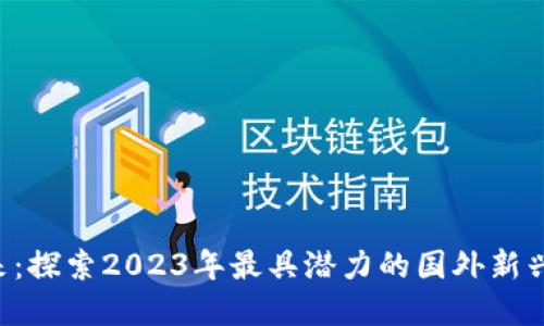 踏入未来：探索2023年最具潜力的国外新兴加密货币