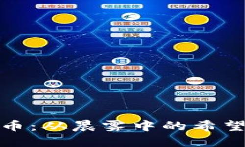 委内瑞拉加密货币：从晨雾中的希望到经济转型之路