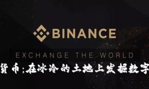 冰岛的加密货币：在冰冷的土地上发掘数字金矿的机遇