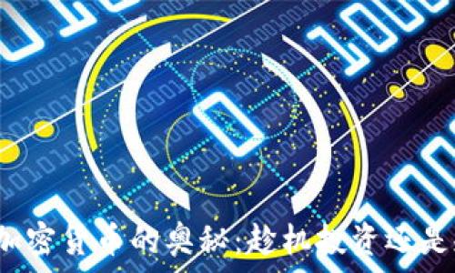   
探索现存加密货币的奥秘：趁机投资还是规避风险？