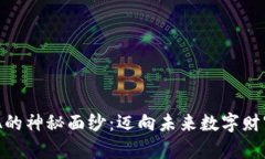 :揭开NACA的神秘面纱：迈向