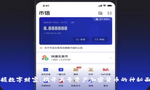 掌握数字财富：揭开头号资产加密货币的神秘面纱