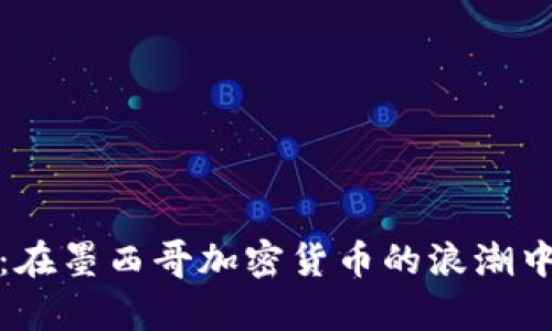 拥抱未来：在墨西哥加密货币的浪潮中乘风破浪