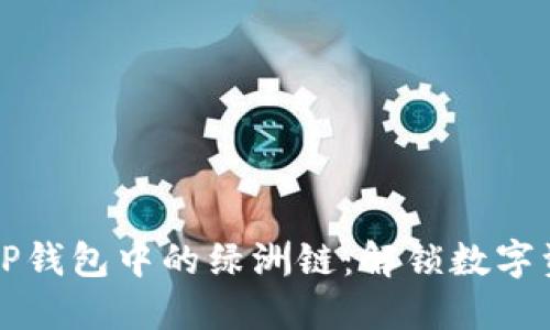 ### 探索TP钱包中的绿洲链：解锁数字资产的新世界