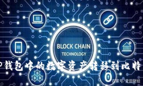 如何将TP钱包中的数字资产转移到比特尔交易所