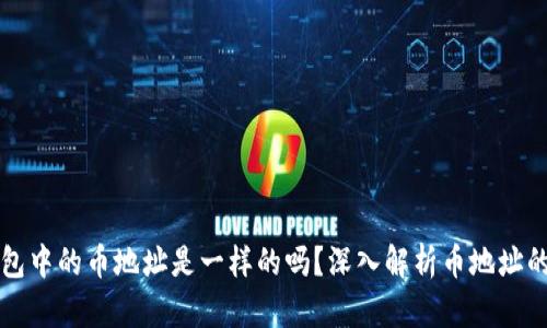 TP钱包中的币地址是一样的吗？深入解析币地址的本质