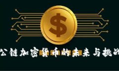 公链加密货币的未来与挑