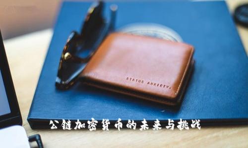 公链加密货币的未来与挑战