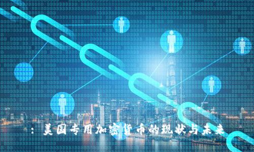 : 美国专用加密货币的现状与未来