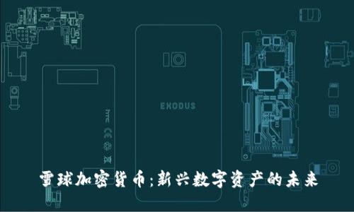 雪球加密货币：新兴数字资产的未来