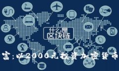 拥抱未来的财富：以2000元