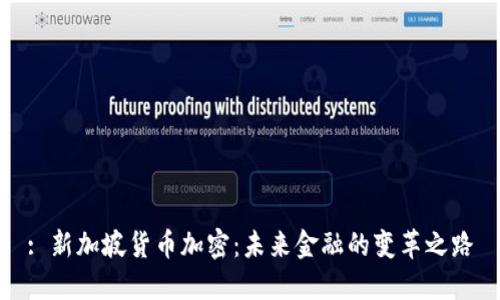 : 新加坡货币加密：未来金融的变革之路