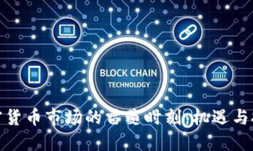 加密货币市场的雷曼时刻：机遇与挑战