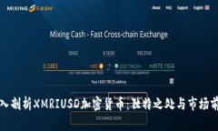 深入剖析XMRIUSD加密货币：独特之处与市场前景