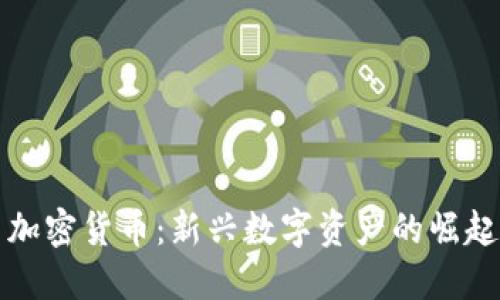 布瑞吉加密货币：新兴数字资产的崛起与机遇