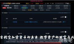 探索挖宝加密货币的未来：数字资产的财富与风