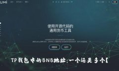 TP钱包中的BNB地址：一个还