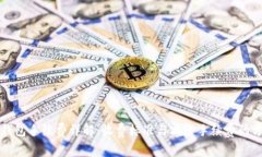 tP钱包手续费详解：收费标