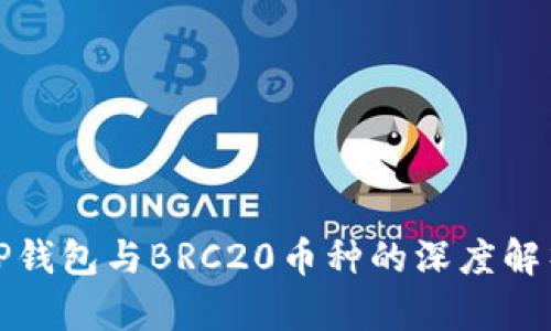 TP钱包与BRC20币种的深度解析