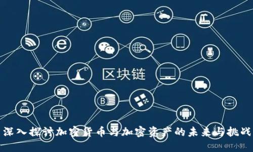 深入探讨加密货币与加密资产的未来与挑战
