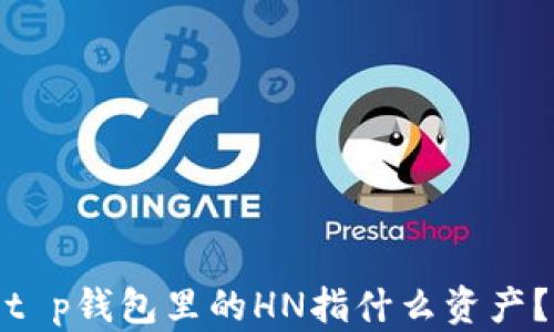
t p钱包里的HN指什么资产？
