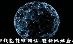 如何处理TP钱包转账错误：转错地址后的应对策略